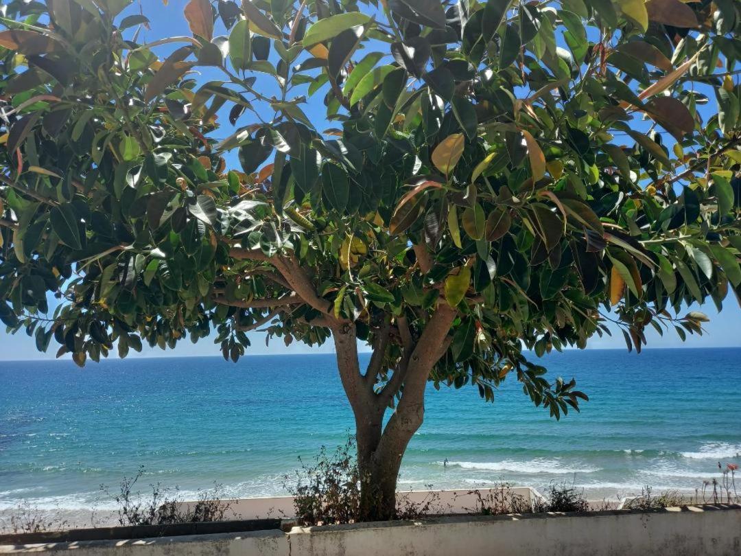 Casa Madeira Villa Burgau Dış mekan fotoğraf